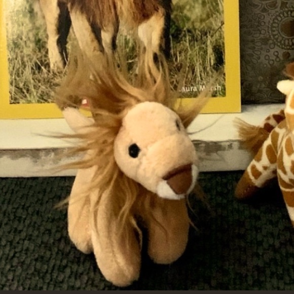National Geographic Kids Safari Animals Book Set and mini plushies - Picture 8 of 12